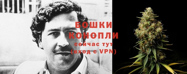 дмт Костерёво