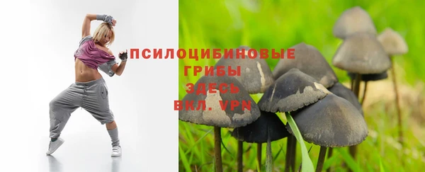 дмт Костерёво