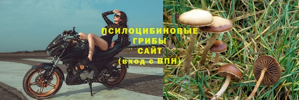 дмт Костерёво