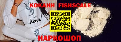 молекула духа Камышлов