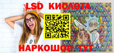 молекула духа Камышлов