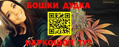 молекула духа Камышлов