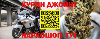 молекула духа Камышлов