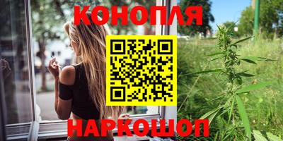 молекула духа Камышлов