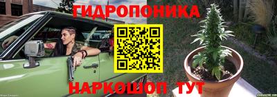 молекула духа Камышлов