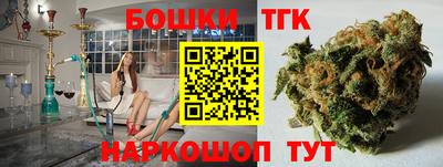 молекула духа Камышлов