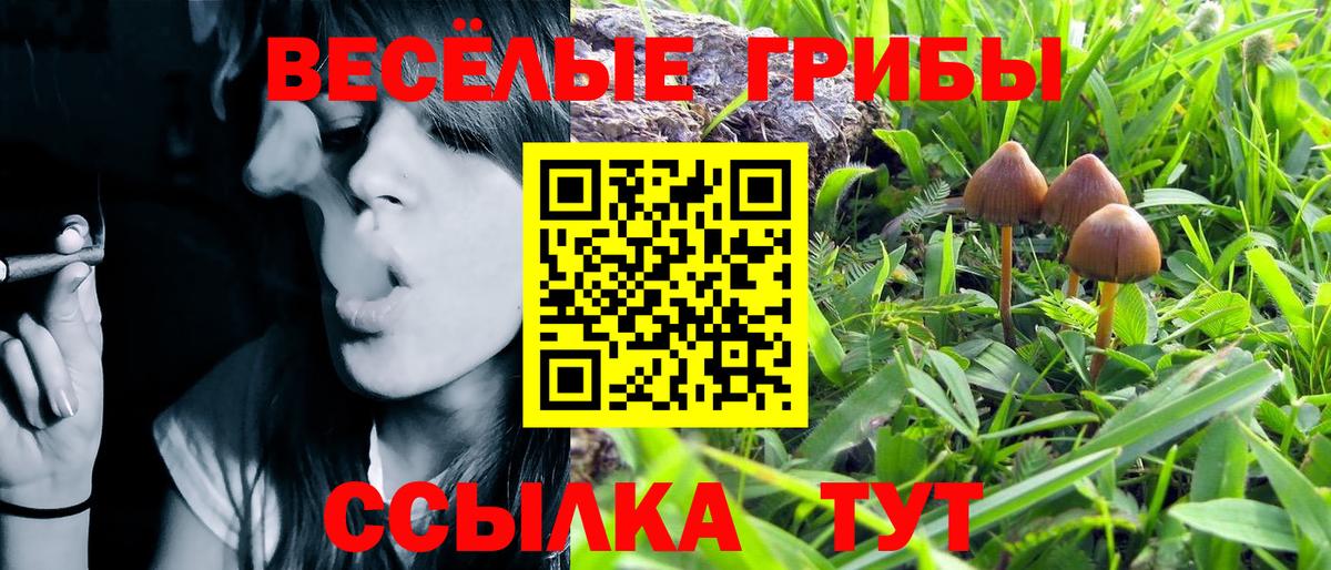 Уссурийск  Галлюциногенные грибы ЛСД  Галлюциногенные грибы Psilocybine cubensis  Вход с VPN 